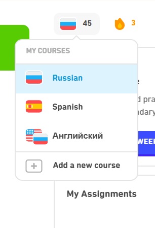 Duolingo Language Selection(screenshot)